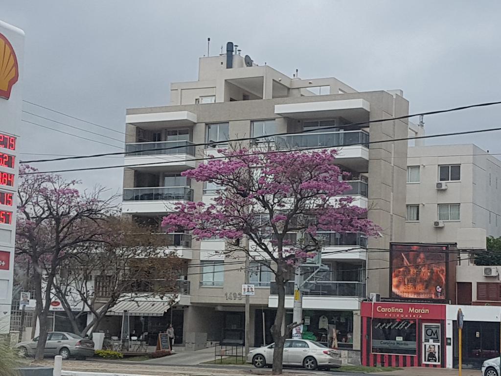 Apartamento Reyes Catolicos Сальта Экстерьер фото